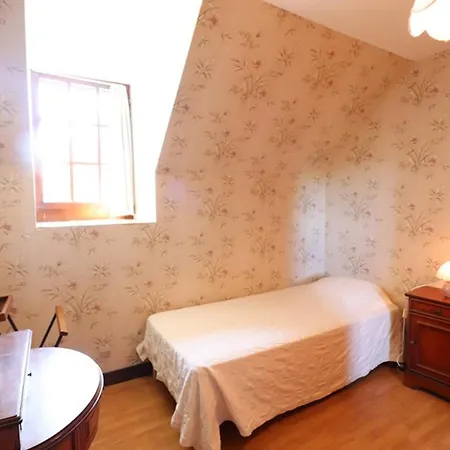 Gite Au Calme, 6 Pers, Parc Des Volcans D'auvergne, 3 Chambres, Bbq, Tv, Jardin, Proche Activites - Fr-1-742-478